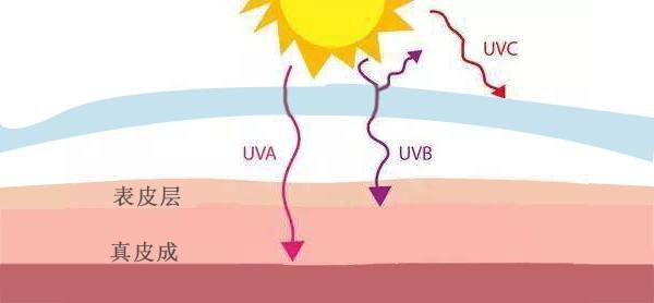 UVC为短波波段