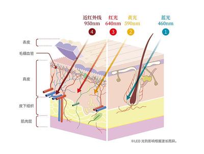 5050红光作用
