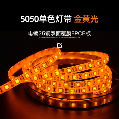 5050RGB单色金黄光-12V60D