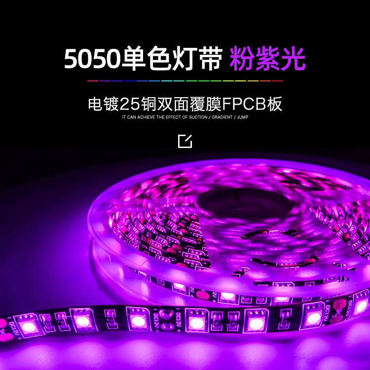 5050RGB单色粉紫光-12V60D